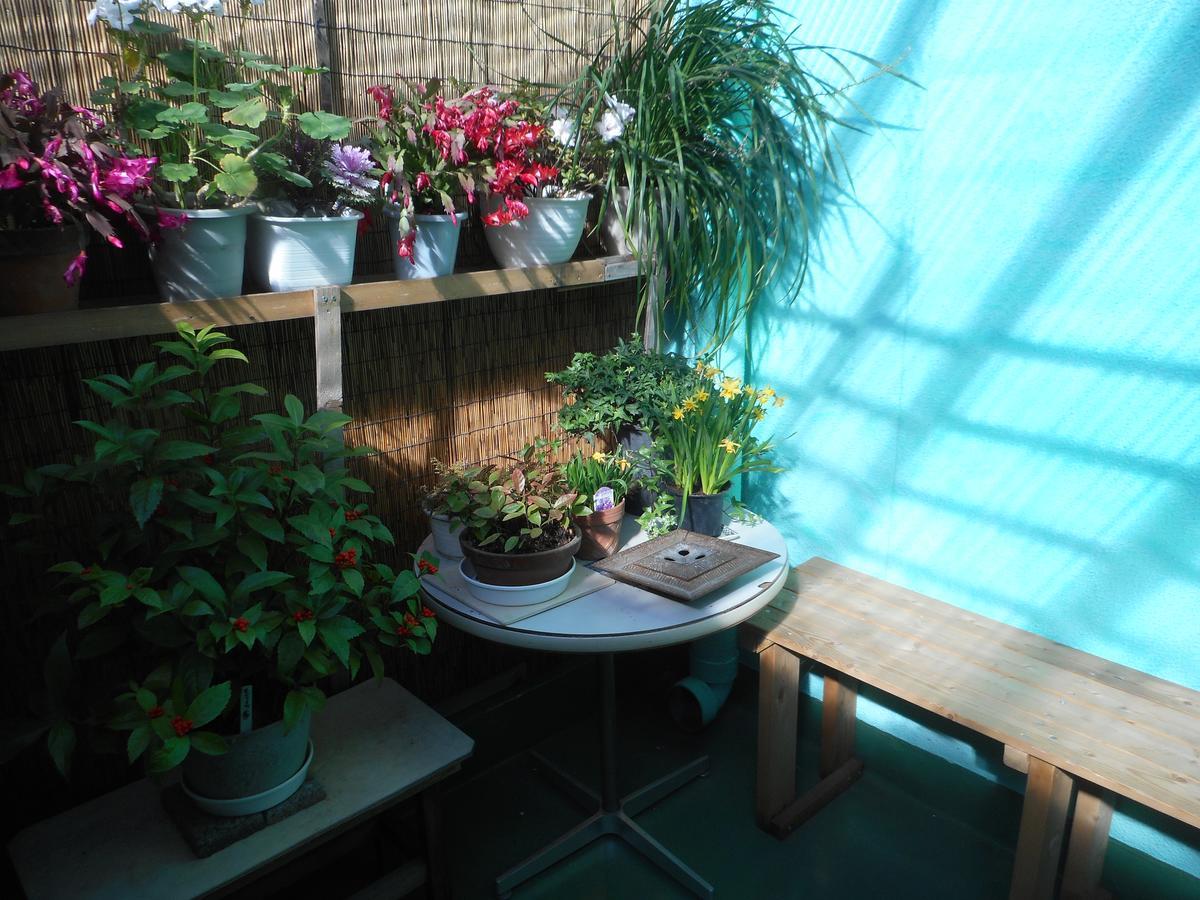 Jgh Tokyo Hostel Kawaguchi (Saitama) Exterior foto