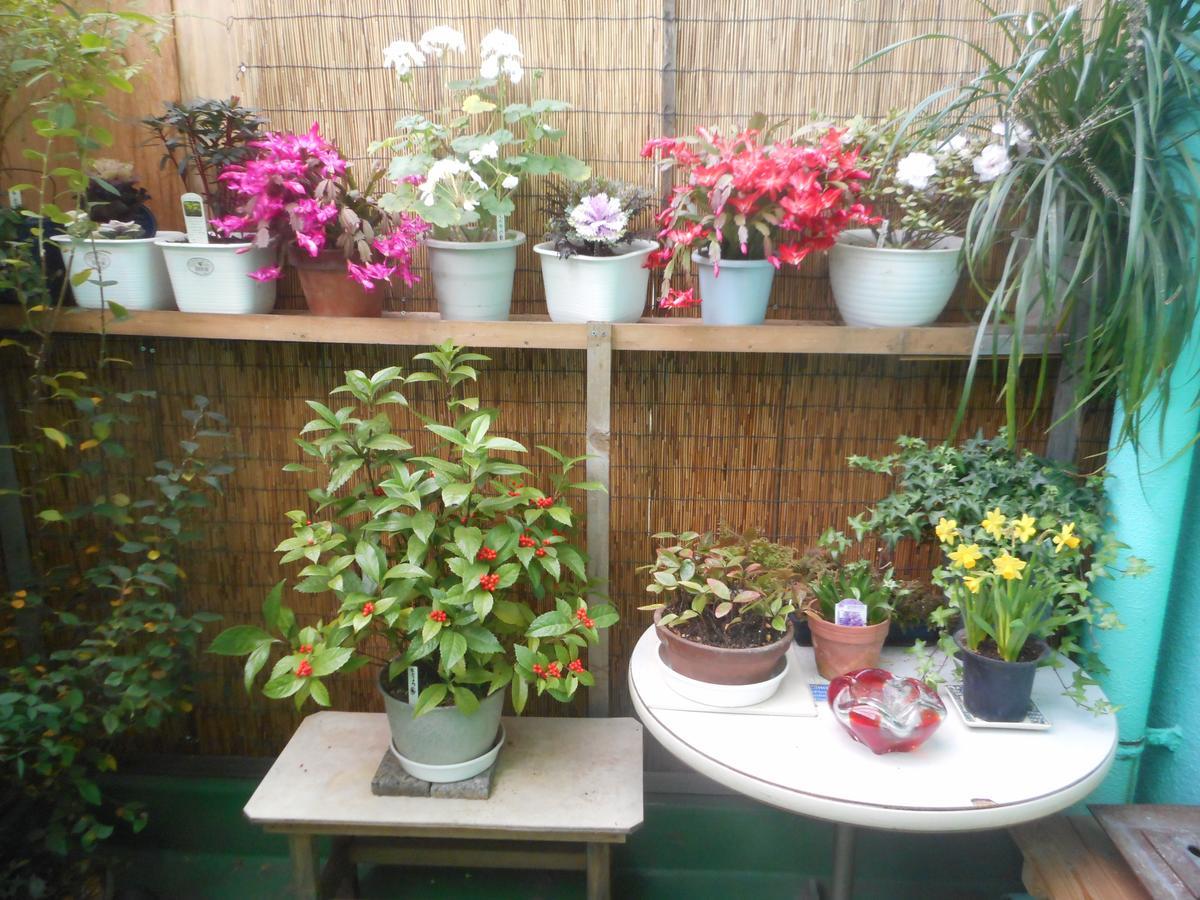 Jgh Tokyo Hostel Kawaguchi (Saitama) Exterior foto